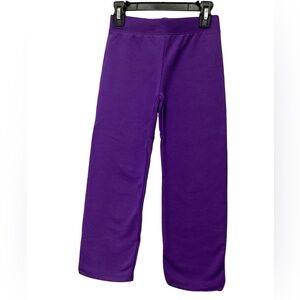 Hanes EcoSmart Purple Sweatpants